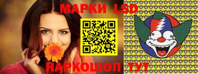 крисы Кулебаки