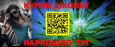 крисы Кулебаки