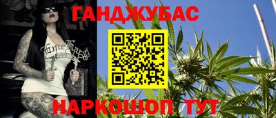 крисы Кулебаки