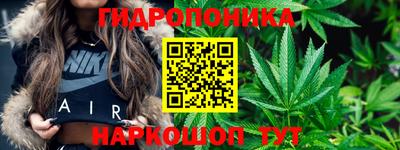 крисы Кулебаки