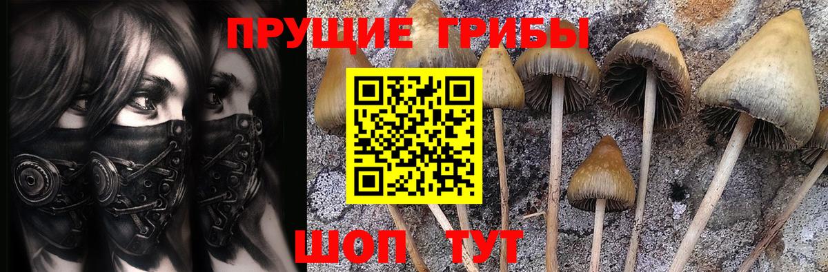 Галлюциногенные грибы ЛСД Химки